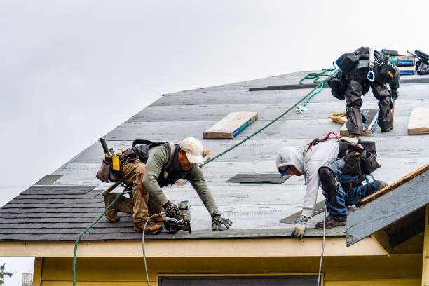 Professional Gutter Installation technician working in Forestville, CA