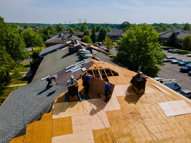 Trusted Flat Roof Repair service in Forestville, CA - Brentwood Metal Roofing